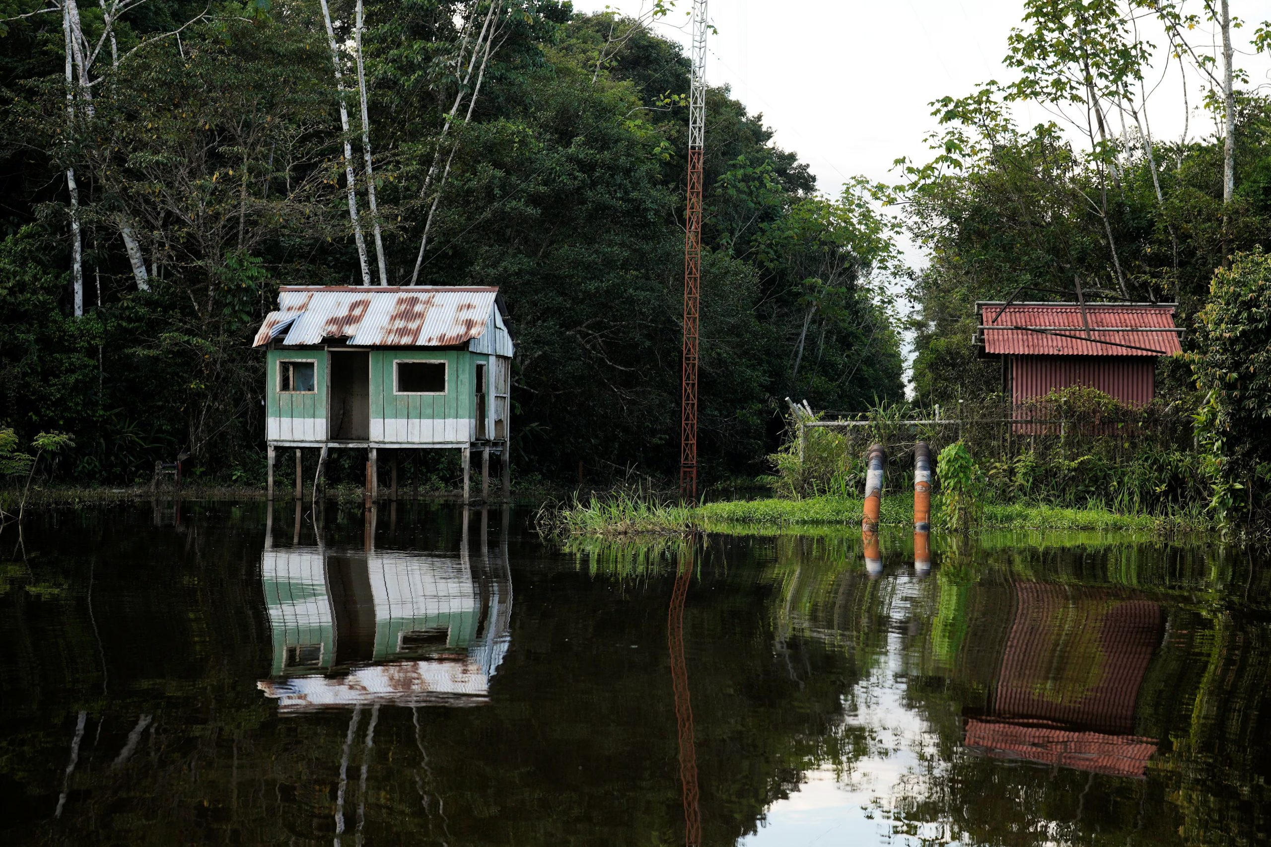 Científicos detectan alteraciones profundas en la composición y riqueza de especies en los bosques tropicales sudamericanos por el cambio climático./Archivo REUTERS/Angela Ponce
