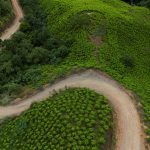 Récord mundial de cocaína: Colombia impulsa oferta de 3.700 toneladas
