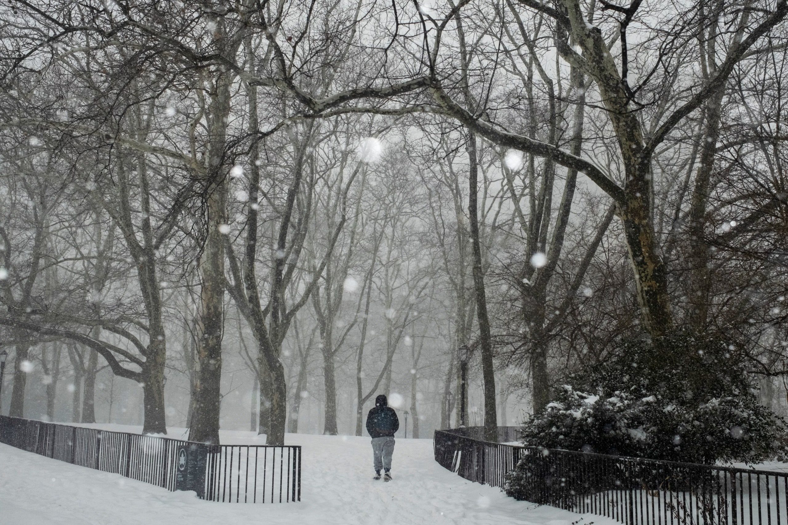 El National Weather Service alertó sobre riesgos de movilidad y cortes de energía por nieve y caída de árboles en áreas montañosas de California y Nevada. (REUTERS/Amr Alfiky)