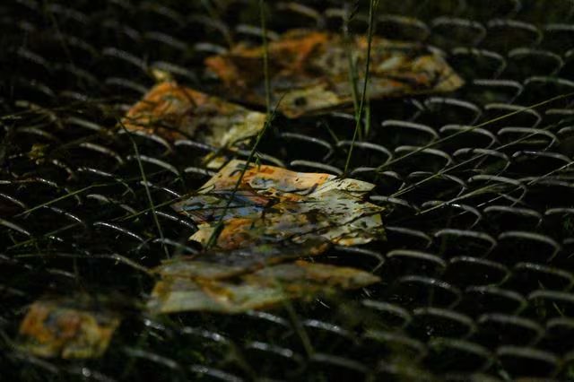 Billetes quedaron atrapados bajo una valla rota en el lugar donde un avión Hércules de la Fuerza Aérea Boliviana se estrelló el viernes (REUTERS/Claudia Morales)