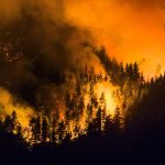 Catástrofe en Chubut: 50.000 hectáreas arrasadas tras un mes de fuego