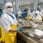 Efecto en Ecuador por decisión de Estados Unidos de bajar aranceles a la India