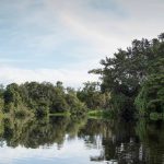 El 14 % de los humedales amazónicos aún no forman parte del sistema nacional de protección