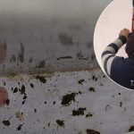 Arcsa clausura cevichería de Chillanes por irregularidades sanitarias