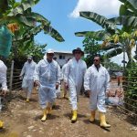 Ministro fue a zona cero del ‘Fusarium’: la situación está controlada