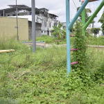 En zonas del norte de Guayaquil se pide más desbroce y fumigación en parques por temporada de lluvias