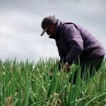 Gobierno del presidente Daniel Noboa impulsa acciones para la producción y comercialización de productos de la AFC