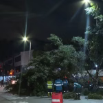 Árbol caído derriba poste de electricidad en la avenida Nicolás Castro Benítez