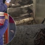 Arcsa clausura restaurante de Salinas por graves deficiencias higiénicas y presencia de plagas