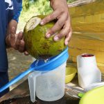 Guayaquil sufre ola de calor y dispara ventas de agua de coco hasta 100 unidades diarias por puesto