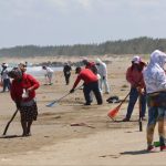 Greenpeace pide denunciar daños por derrame de crudo en Golfo de México