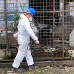 MSP intensifica brigadas y control vectorial en siete provincias con repunte de casos de dengue