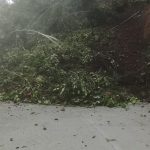 Deslizamiento de tierra en la vía Riobamba–Pallatanga–Cumandá: habilitan ruta alterna