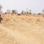 Masacre en Nigeria: al menos 29 muertos en ataque del Estado Islámico