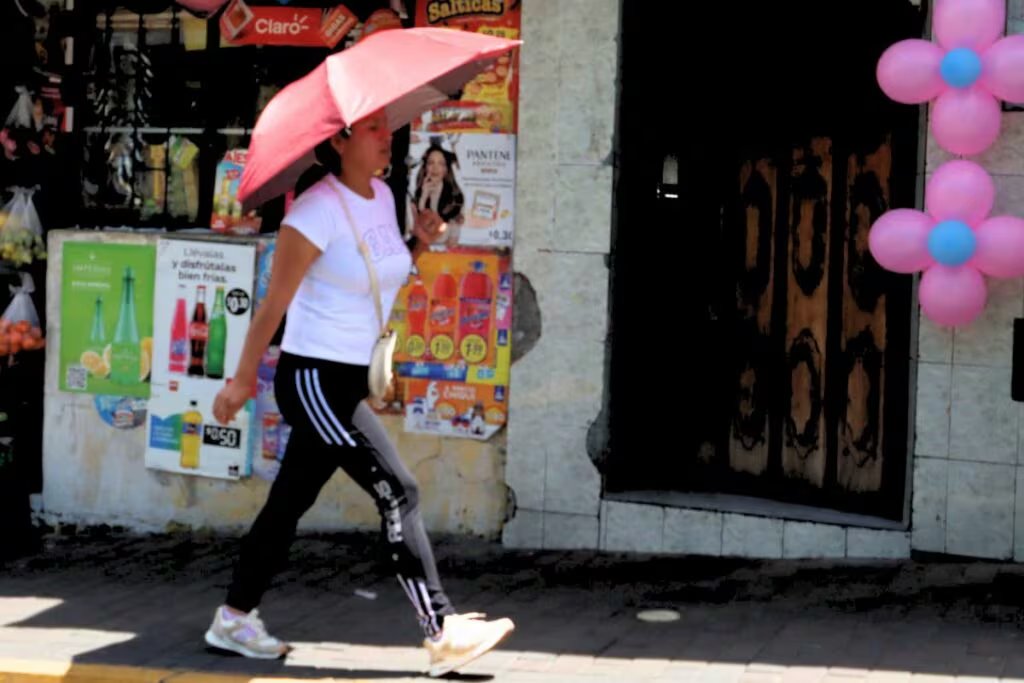 Se espera que la ola de calor se extienda hasta el 16 de abril. (API/ El Comercio)