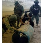 Fuerzas de seguridad golpean el suministro de las mafias con fuerte decomiso