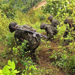 ELN libera a siete secuestrados en Arauca, norte de Colombia