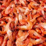 Conflicto pesquero: ¿Acuerdo para el langostino podría destrabar la temporada?