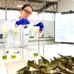 Gobierno del presidente Noboa invierte USD 15,6 millones en investigación agropecuaria