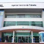 Científicos capturan más de 100 roedores en Ushuaia tras brote de hantavirus en crucero