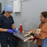 Más de 228.000 atenciones veterinarias gratuitas se registran en Guayaquil durante el primer cuatrimestre de 2026