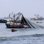 Oleaje extremo en Perú golpea a Pisco: pesca suspendida y miles sin ingresos