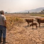 Alerta en Centroamérica: El Niño 2026 traería sequía y calor extremo de mayo a julio