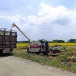 Proceso de compra directa de arroz a productores estará abierto hasta junio, señaló el ministro de Agricultura