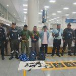 Gobierno Nacional investiga presunto tráfico de iguanas marinas de Galápagos