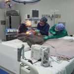 Gobierno de Daniel Noboa prioriza atención neonatal con exitosa intervención a paciente prematura crítica en Cuenca