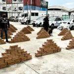 Decomisan 82 kilogramos de droga en puerto de Guayaquil: carga estaba en contenedor con destino alemán