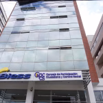 309 precandidatos al Consejo de Participación Ciudadana pasan a revisión: un equipo verificador definirá cuántos cumplen requisitos y probidad