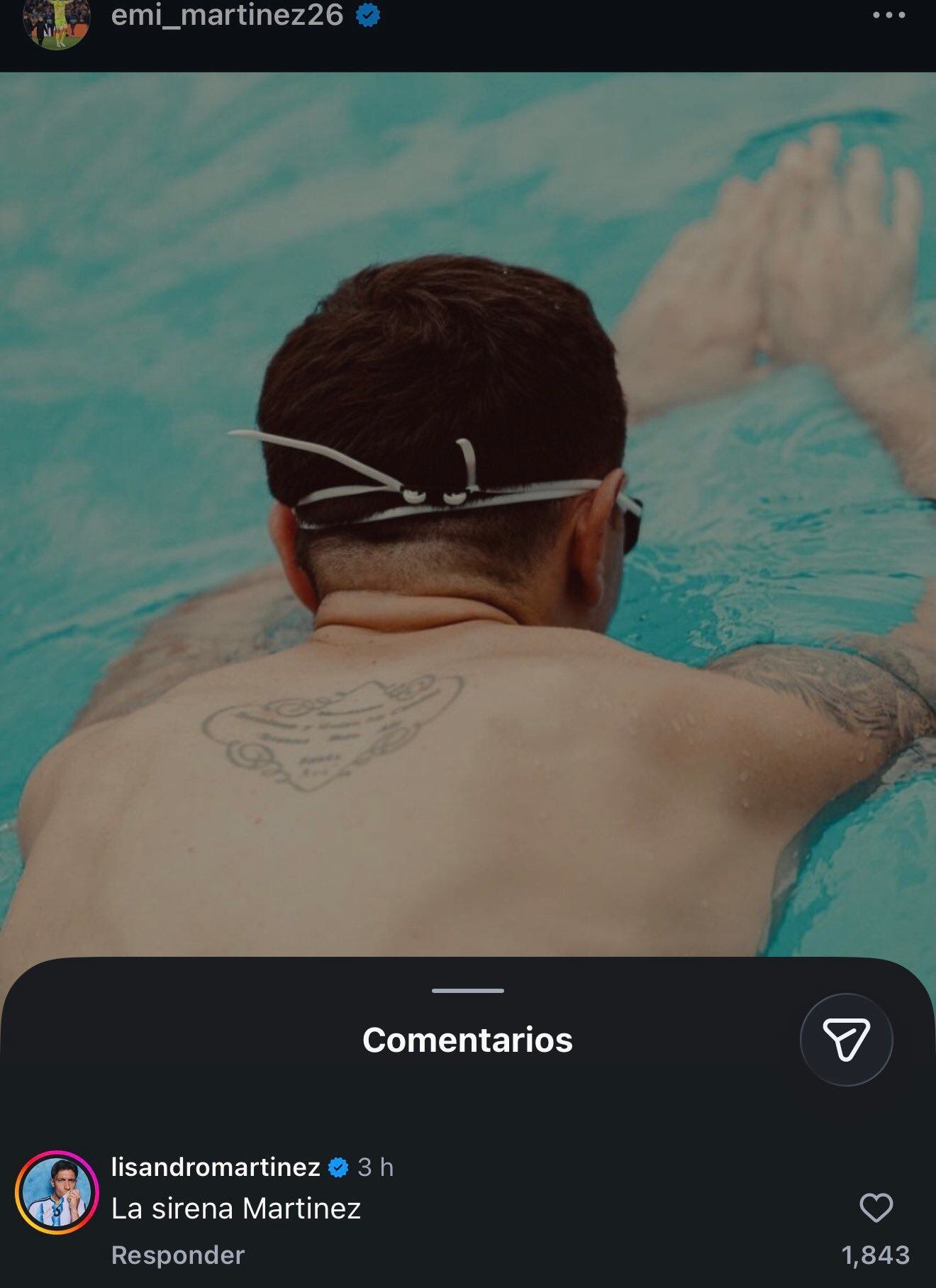 La foto de Dibu Martínez y el comentario de Licha (IG / @emi_martinez26)