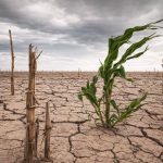 El Niño Costero amenaza con sequía extrema en sur del Perú hasta 2027