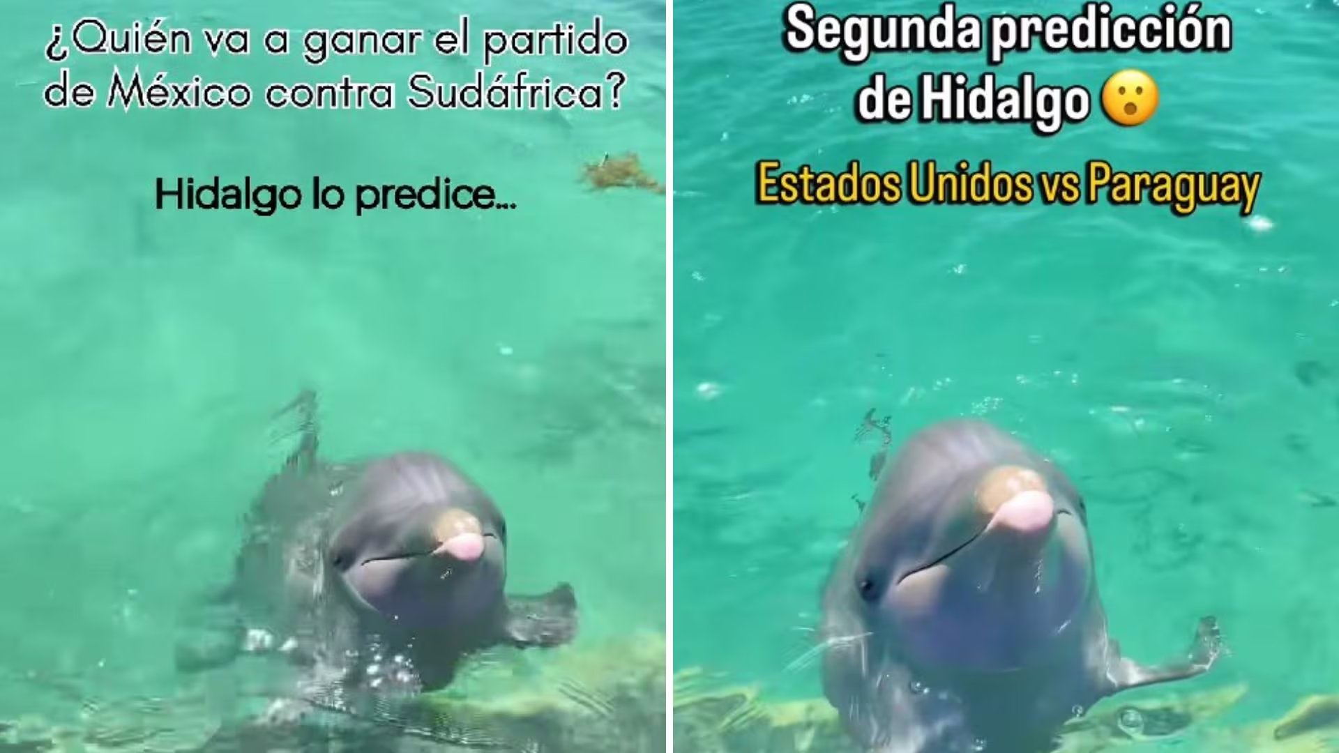 La peculiar dinámica realizada en un parque acuático de Quintana Roo se volvió tendencia entre los aficionados al futbol.