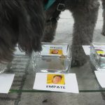 Ozzy (Infobae) confundió con pronóstico: Portugal vs Colombia