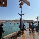 Ministerio de Agricultura, Ganadería y Pesca elabora mecanismo de compensación a pescadores del país