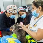 Más de un millón de servicios veterinarios fortalecen el bienestar animal en Guayaquil