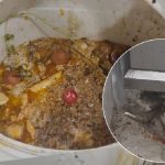 Arcsa clausura local de comidas en El Carmen por presencia de plagas y falta de higiene