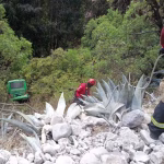 Dos muertos y tres heridos tras caer un bus a un barranco en Ambato