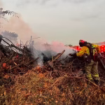 Quema de vegetación en parque Samanes moviliza unidades del Cuerpo de Bomberos