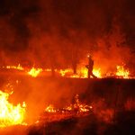 España en llamas: 175 mil hectáreas devastadas y evacuaciones masivas