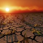 OPS alerta: El Niño 2026-2027 desencadenará crisis sanitarias en América