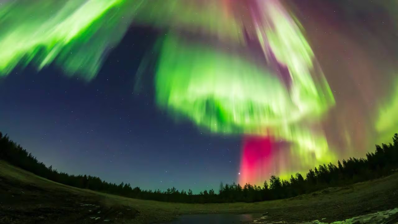 La Aurora Boreal despliega sus majestuosos colores verdes y rojizos sobre un paisaje boscoso y un cielo estrellado, creando un fenómeno natural impresionante en latitudes nórdicas. (Reuters)