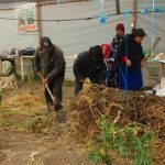 Agencias de Extensión Rural, implementadas por Daniel Noboa, atienden en campo a más de 5.700 productores