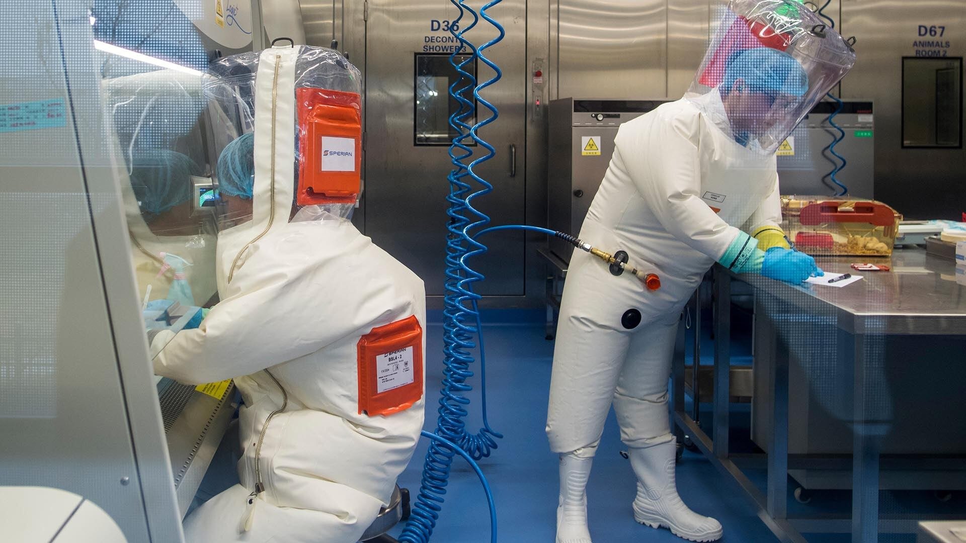 Trabajadores junto a una jaula con ratones (derecha) dentro del laboratorio P4 en Wuhan. (Foto de JOHANNES EISELE / AFP)