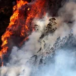 Ecuador activa campaña para prevenir incendios forestales ante el fenómeno de El Niño