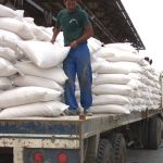 Ecuador envía 2.000 toneladas de arroz a Colombia en la primera semana de exportaciones por vía terrestre