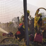 Siete incendios forestales permanecen activos en Ecuador: Gestión de Riesgos mantiene monitoreo permanente