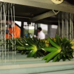Piña tuvo nuevos compradores por problemas de producción en Costa Rica